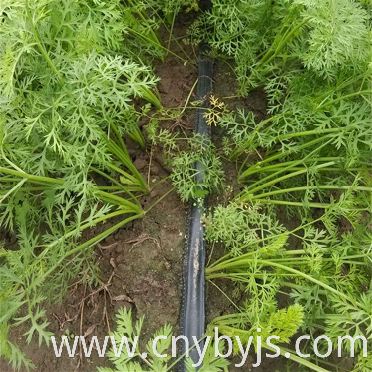 Drip Irrigation 69